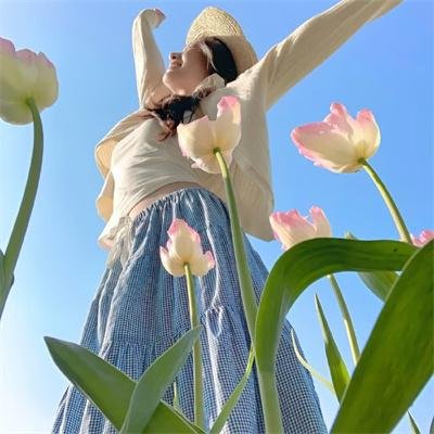 被解放的蠢朋克